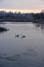 Пара / ,,,,,,,,,