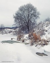 Привлекательна зимняя робость... / Январский пейзаж на реке Сестра.