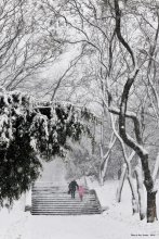 Снежный день. / Прогулка по заснеженному парку в Одессе - большая редкость...
