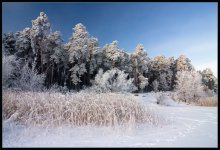 Лежал прошлогодний снег / Ершовое озеро