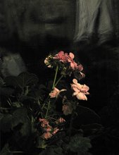 Цветок в интерьере / цветы, растения, интерьеры