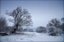 Утром / утро последних дней каникул