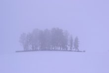 погост / деревня Войтовка