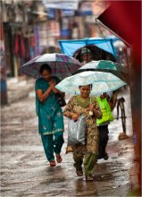 грустный дождь... / в прошлом году,сезон дождей затянулся не на шутку,пострадало много областей Азии и не только...