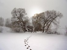 Зимний пруд / в Витебске