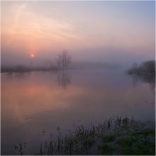 Утро в разливе 2 / Над разлившейся рекой стелется туман, сквозь него пробивается пока еще неяркий свет восходящего солнца