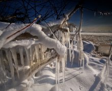 оскал зимы / балтийский берег