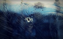 Замерзшая  муха... / эх бедняга