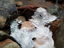 Эйнштейн / лёд в июне