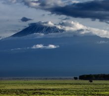 Kilimanjaro / Kenya
