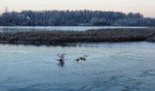 Там рыбы,,,Во! / ,,,,,,,,,,,,,,,