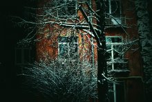 Окна дома / Дом, который очень вписывается в архитектуру города Полоцка и деревья со снегом украсили его красоту