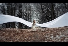 Белые крылья бабочки / Первый снег

Обработка - Павел рыженков