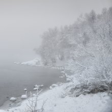 В морозном тумане / первые морозы, ноябрь 2011