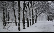 зима в парке / это возле общежития, где я учусь и живу)