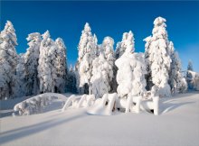 В снежном плену / ******