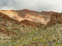  / Tucson, Arizona