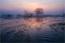 Рассвет в разливе / Вода из переполненного русла вышла из берегов, разлилась по долине множеством ручейков