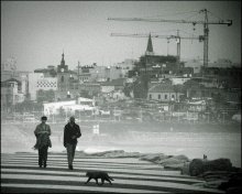 про город и чёрную кошку / На переднем плане - набережная Тель-Авива, вдали, за туманом, - Яффо