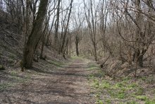 Весна приходит / Весна приходит