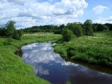 Летняя фотография / Вологодская область, Кипеловский район, река Масляная