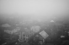 fog / *****