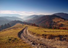 ...Карпатский день... / Всем приятного просмотра! Главный герой на фото - Субарик Максима Вейзе!