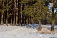 Первомайская роща / Первомайская роща