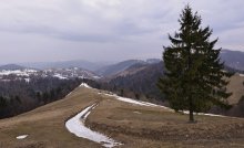 весенние Карпаты / ******