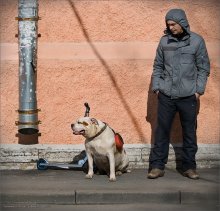 ПРО ДОВЕРИЕ... / иду, смотрю, вижу, снял...