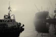Туманное утро / Порт Одесса. Утренний туман.