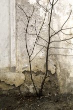 Трещина в стене / Как многие фотографы, люблю текстуры и обшарпанные стены, но вот фотографирую их впервые. Да, и фотографировать я начал очень недавно. Это первые шаги.