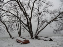 Не сезон / Нарочанский берег,январь этого года,выпал свежий снег