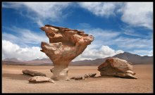 время и ветер... / Высокогорная Боливия,Альтиплано, Arbol de Piedra, кусок выветренной магматической лавы