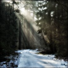 Вопреки. / ***