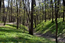 весна / В парке