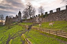 У стен замка Рапперсвиль №2 / Schloss Rapperswill - рапперсвильский замок 13-го века. Он возвышается на холме в средневековой части города. Рядом с замком живут олени. Замок впервые упоминается в 1229 году. В 1350 г он был разрушен Рудольфом Бруном, мэром Цюриха, памятник которому стоит в Цюрихе напротив Фраумюнстер. Однако уже в 1352/54 гг замок был восстановлен австрийским герцогом Альбрехтом II. С 1870 году польскими эмигрантами в замке был организован польский музей.