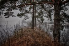 MYST / туман на реке Молога
