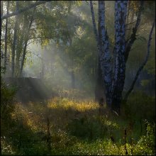 Утро. / ***