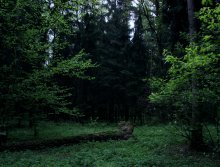 &nbsp; / бревно