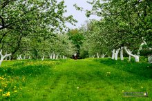 Полигон в Бутово. Всем ушедшим... / Полигон в Бутово. Всем ушедшим...