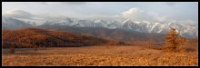 Золотая осень Алтая. / панорама 4 кадра.