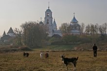 Трудовое утро в Переславле - Залесском / Познакомились с пастухом и козами! :)