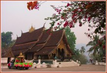 Под сенью алых цветов / Снимок сделан в апреле 2010 года на территории храма Сиенг Тонг ( Wat Xieng Thong) в Луанг-Прабанге или Луангпхабанге (Лаос) Храм был построен королём первого в истории кхмерского феодального государства Лансанг (королевство миллиона слонов) Сеттатиратом (правил с 1548 по 1571) в 1559-1560 г.г. в месте, где встречаются реки Меконг и Нам Кхан. До 1975 года храм был под патронажем королевской семьи и все короли короновались здесь.