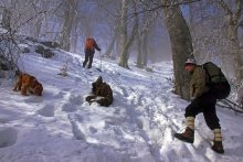 На зимней тропе / Подъем на верхнее плато Чатыр-Дага. Крым. Зима