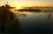 Тихий рассвет на Сейме / Река Сейм, Глушково, Курская область