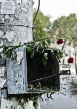  / задумайтесь о своей жизни...