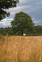 Одиночество... / Одиночество...