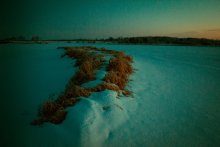 зимний камыш / рассвет на реке