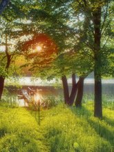 июньские впечатления / июнь,закат